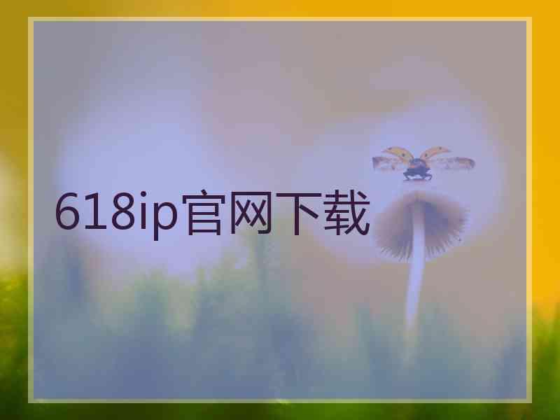 618ip官网下载