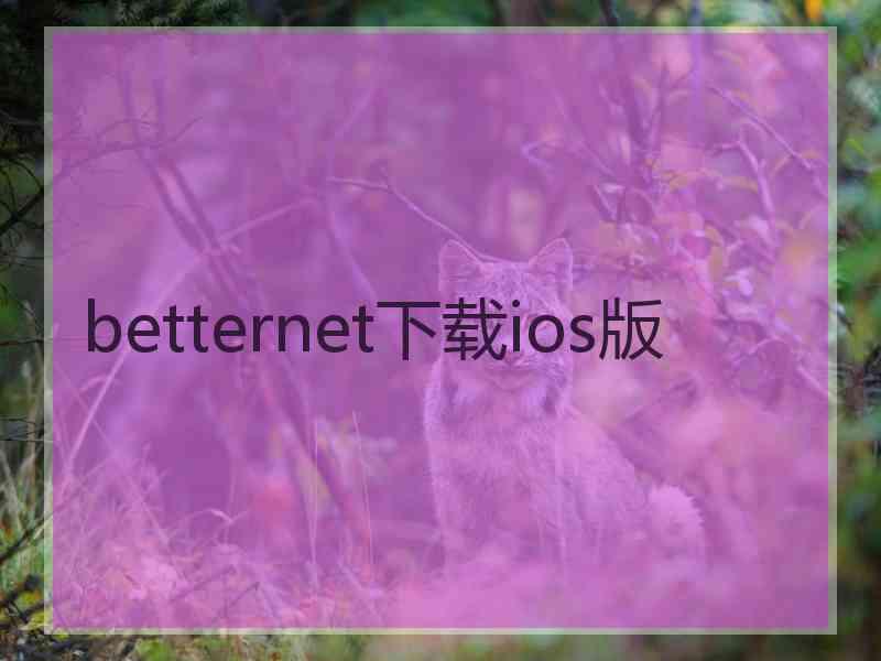 betternet下载ios版