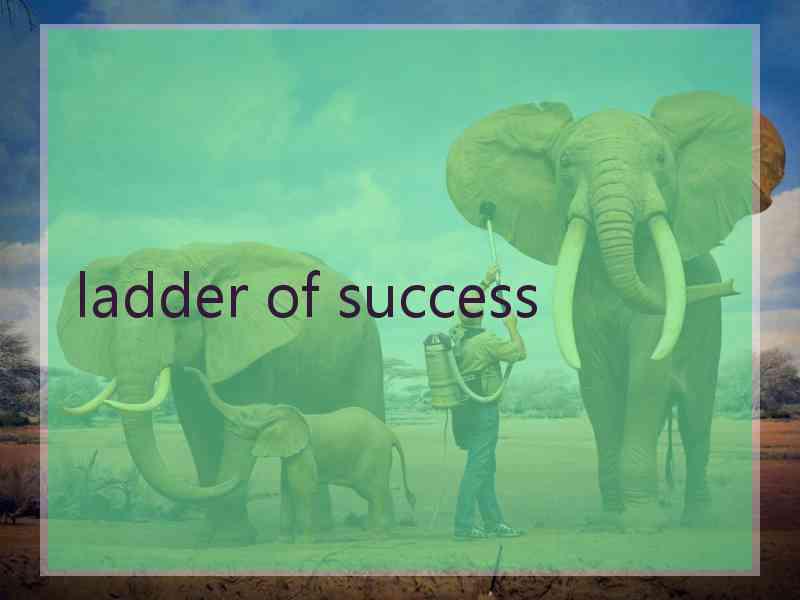 ladder of success