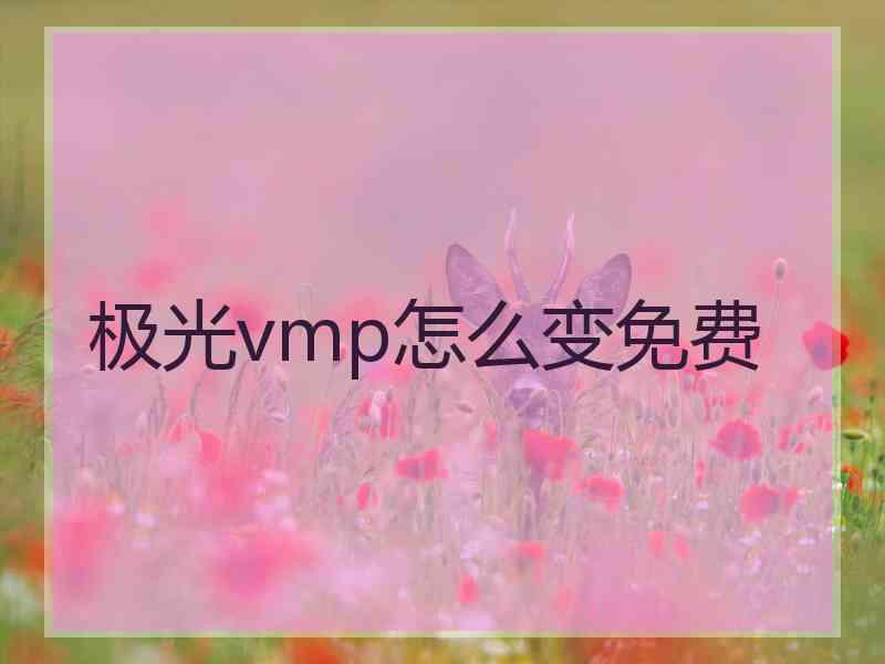 极光vmp怎么变免费