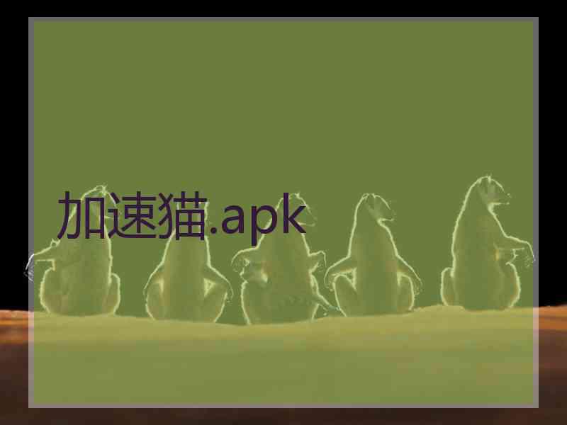 加速猫.apk