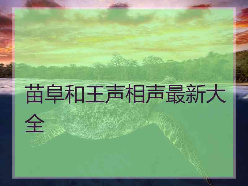 苗阜和王声相声最新大全