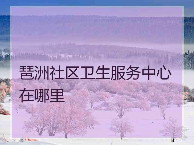 琶洲社区卫生服务中心在哪里