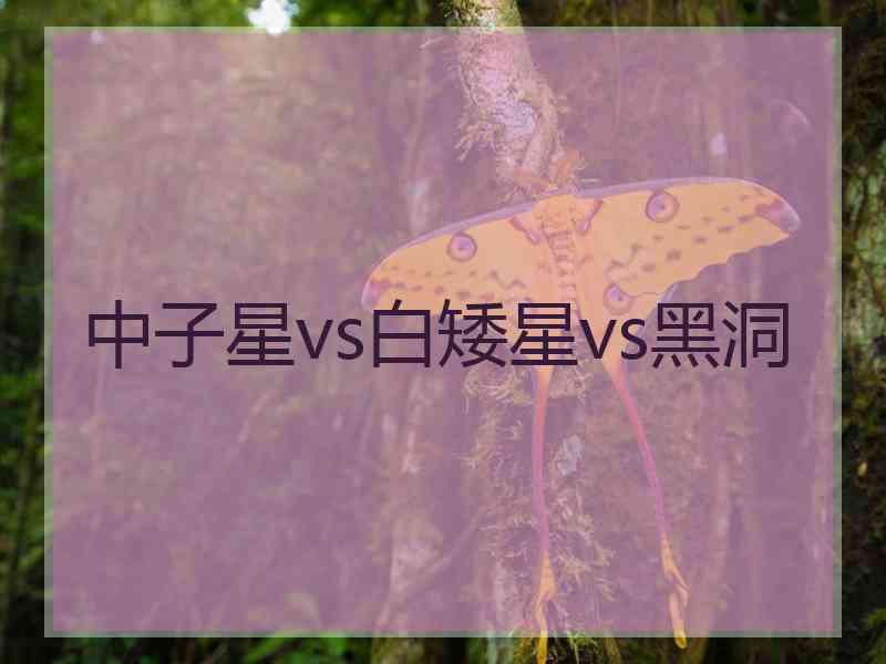 中子星vs白矮星vs黑洞