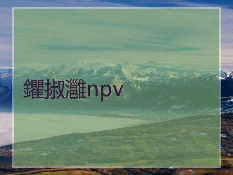 鑺掓灉npv