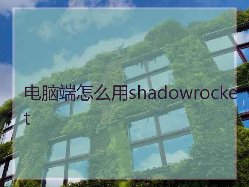 电脑端怎么用shadowrocket