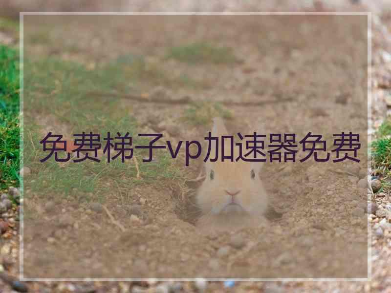 免费梯子vp加速器免费