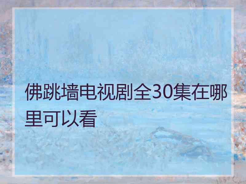 佛跳墙电视剧全30集在哪里可以看