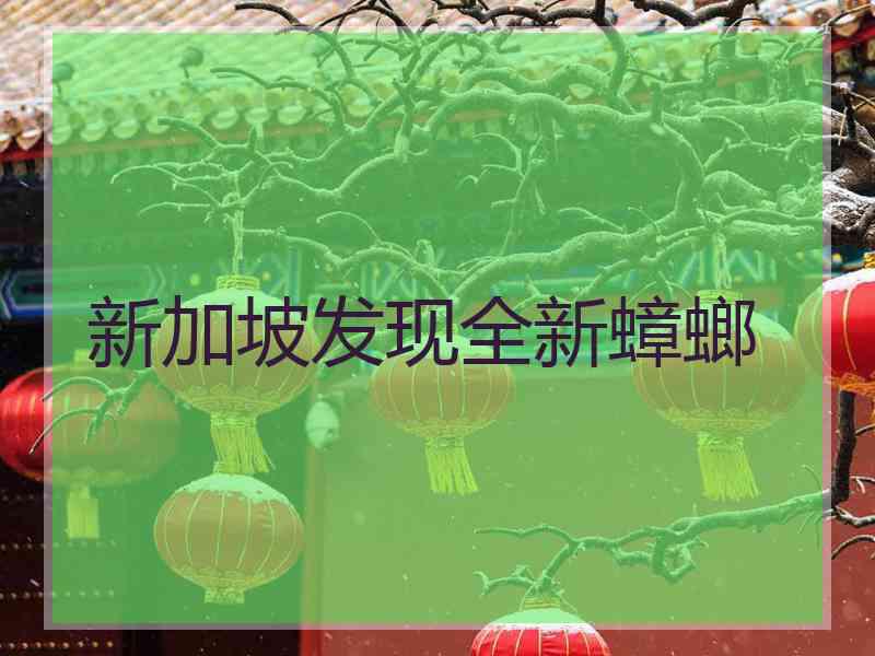 新加坡发现全新蟑螂