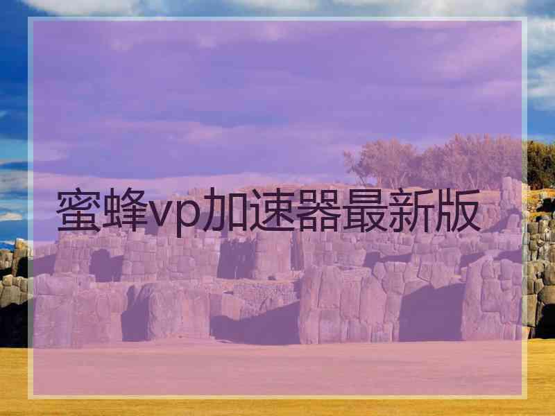 蜜蜂vp加速器最新版