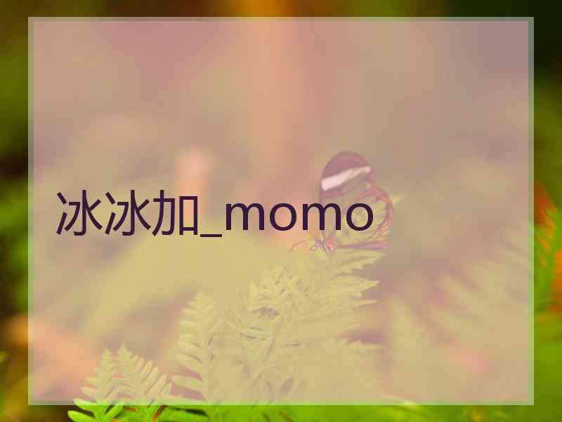 冰冰加_momo