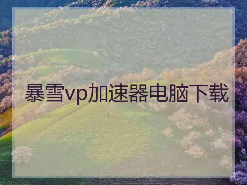 暴雪vp加速器电脑下载