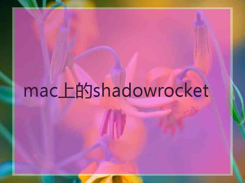 mac上的shadowrocket