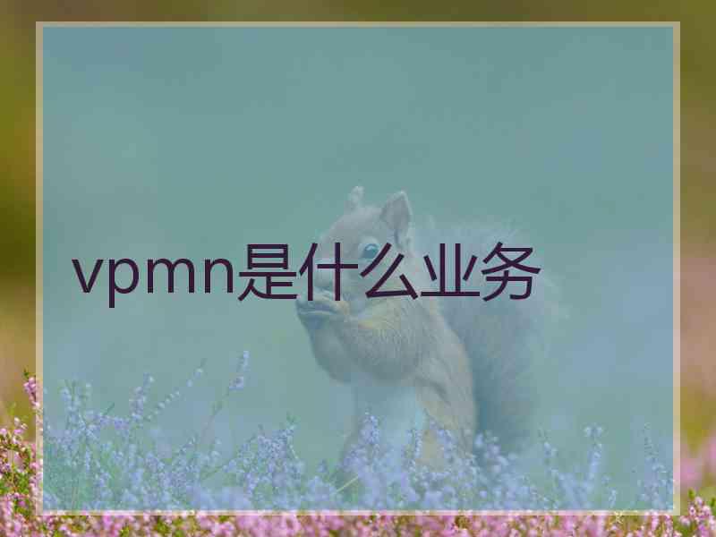 vpmn是什么业务