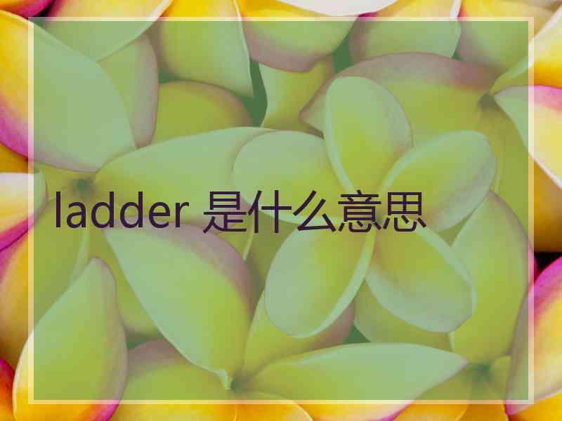 ladder 是什么意思