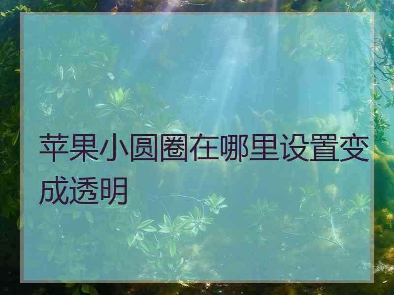 苹果小圆圈在哪里设置变成透明