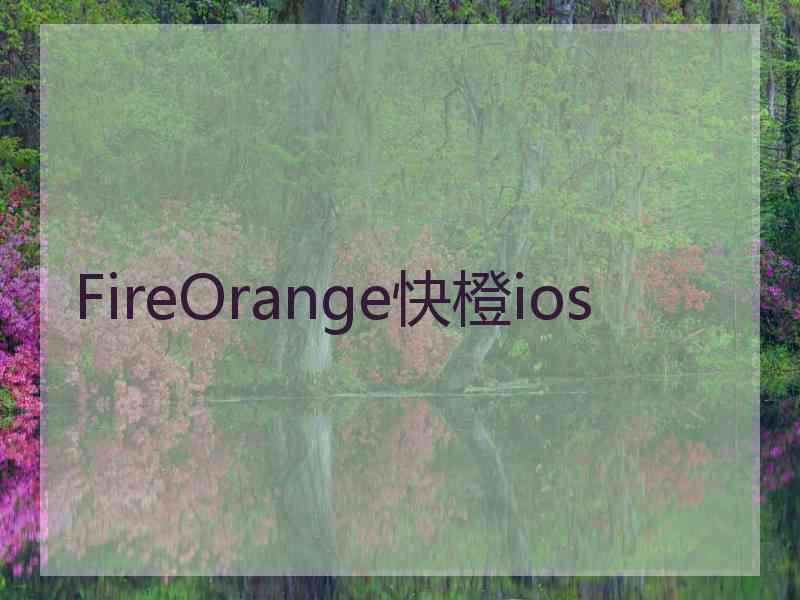 FireOrange快橙ios