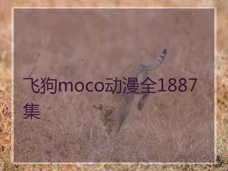 飞狗moco动漫全1887集