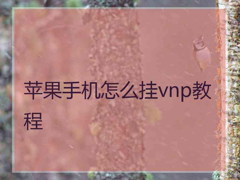 苹果手机怎么挂vnp教程