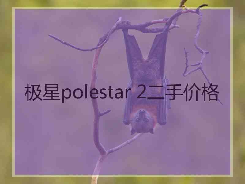 极星polestar 2二手价格