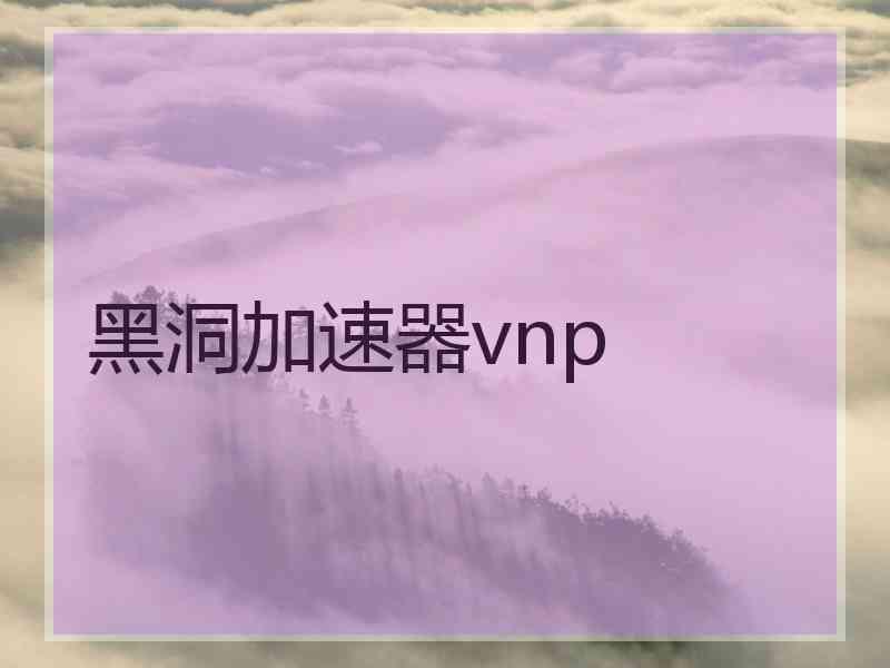 黑洞加速器vnp