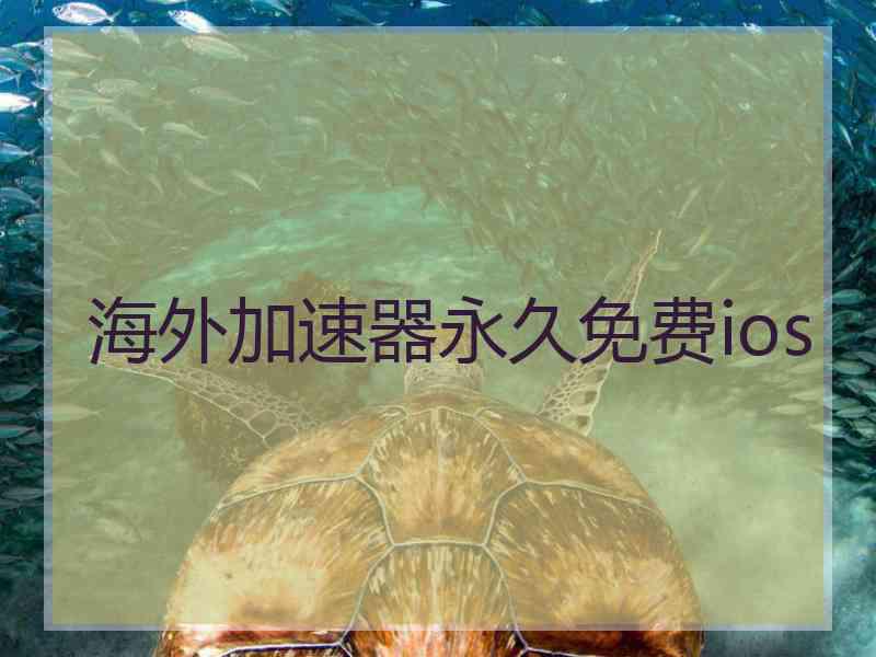 海外加速器永久免费ios