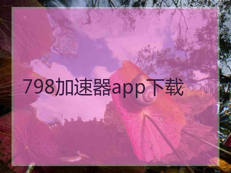 798加速器app下载