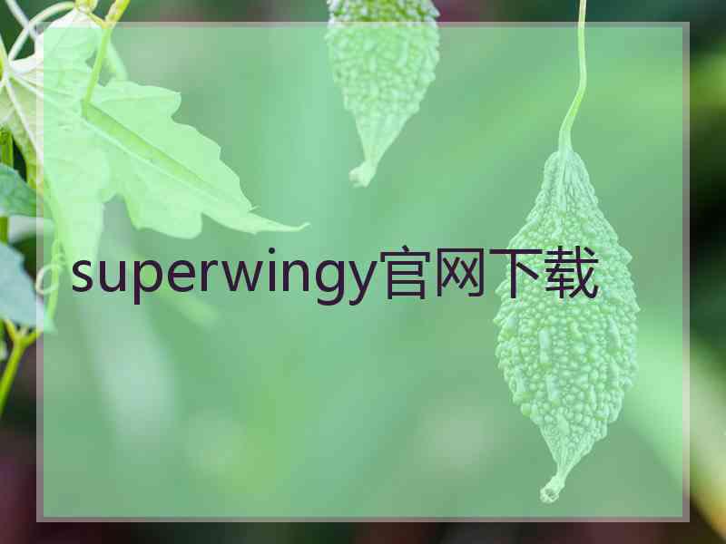 superwingy官网下载