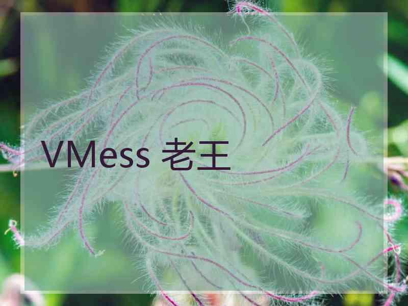 VMess 老王