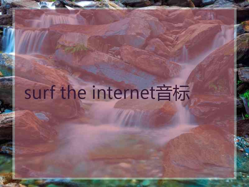 surf the internet音标