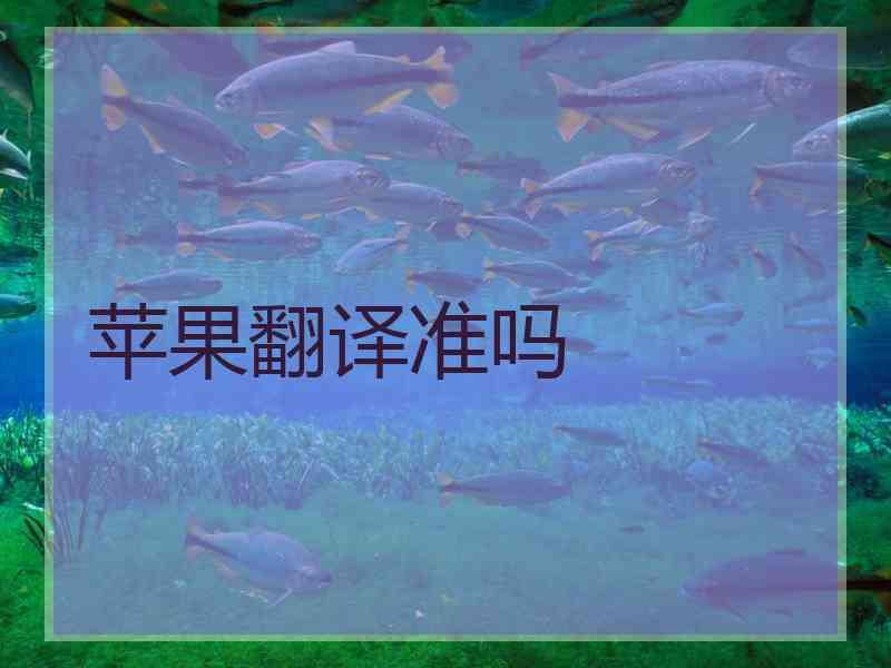 苹果翻译准吗