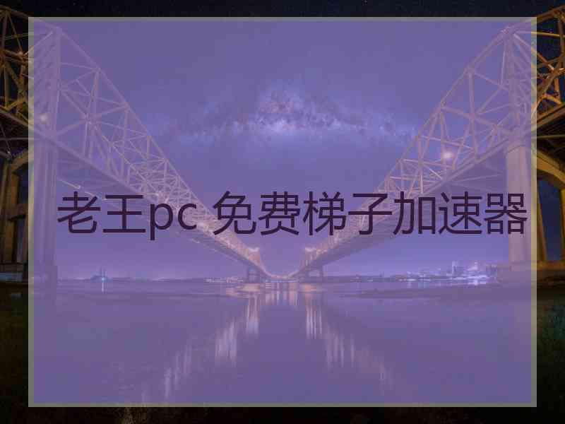 老王pc 免费梯子加速器