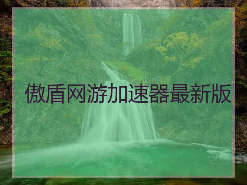 傲盾网游加速器最新版