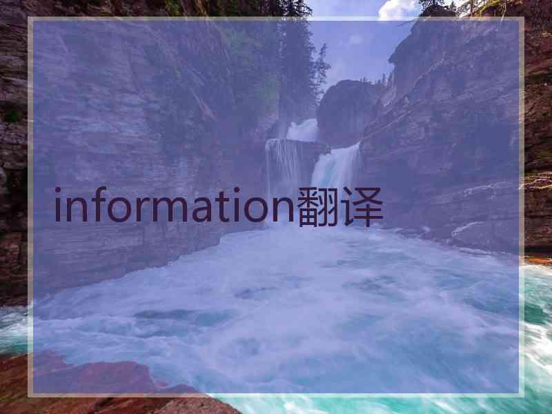 information翻译