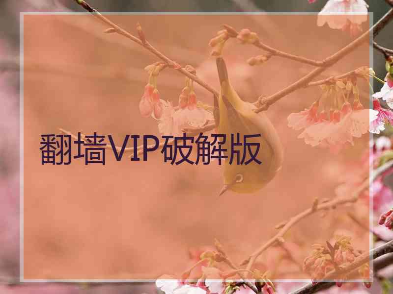 翻墙VIP破解版