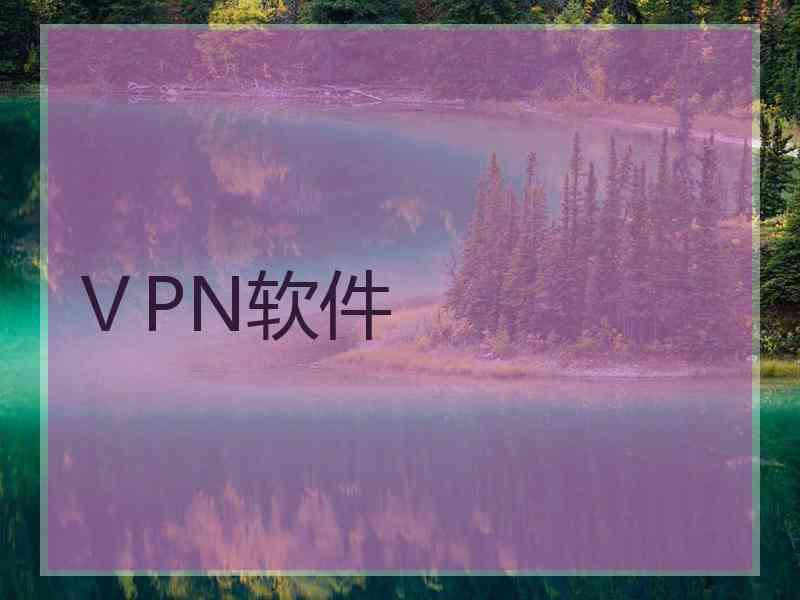 ⅤPN软件