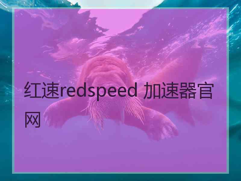 红速redspeed 加速器官网