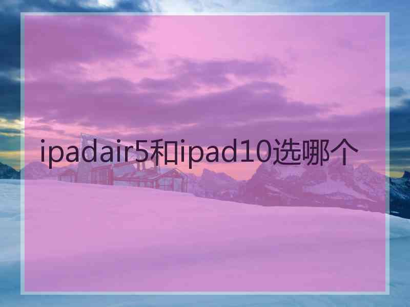 ipadair5和ipad10选哪个