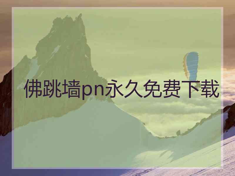 佛跳墙pn永久免费下载