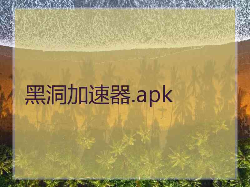 黑洞加速器.apk