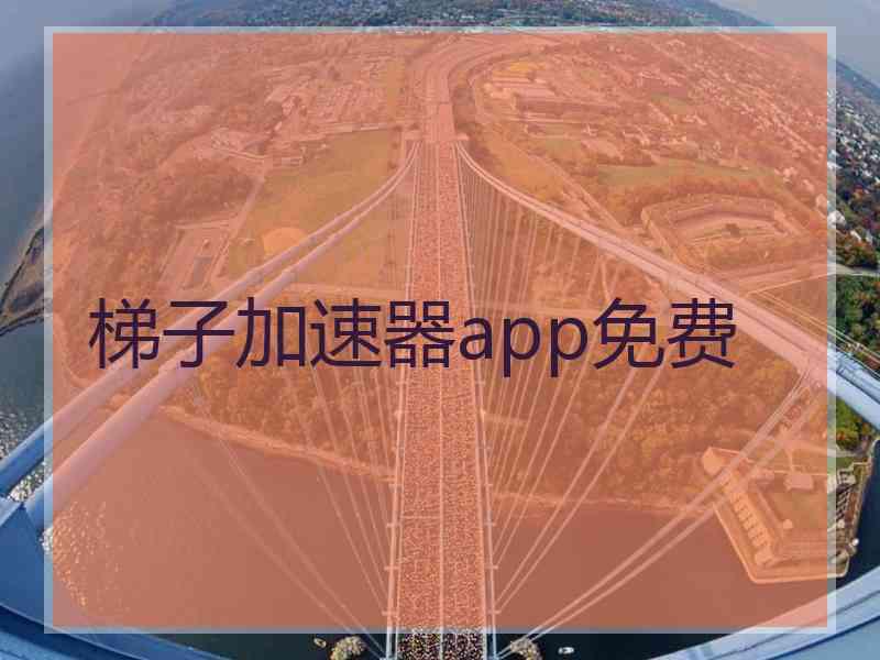 梯子加速器app免费