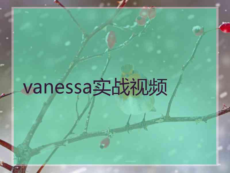 vanessa实战视频