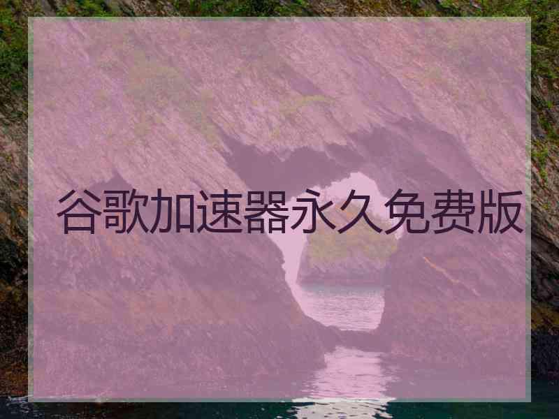 谷歌加速器永久免费版