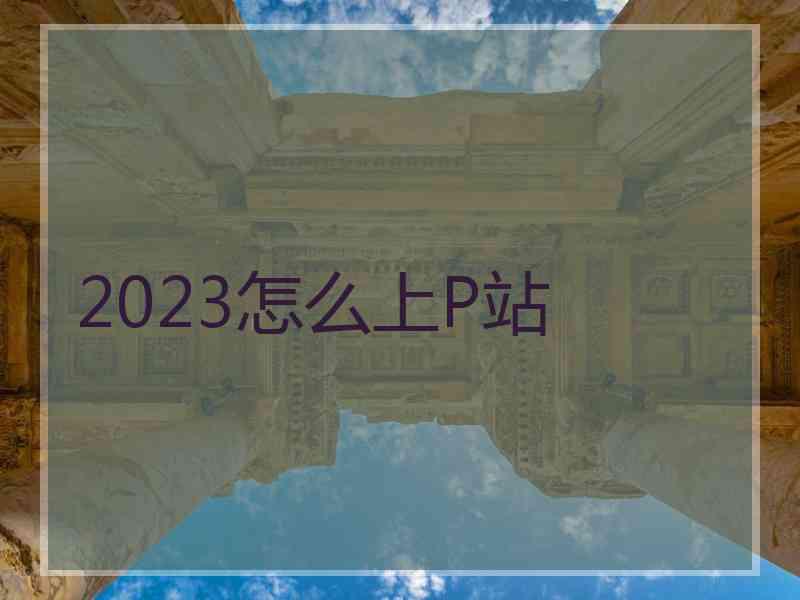 2023怎么上P站