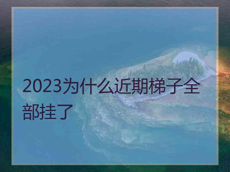 2023为什么近期梯子全部挂了