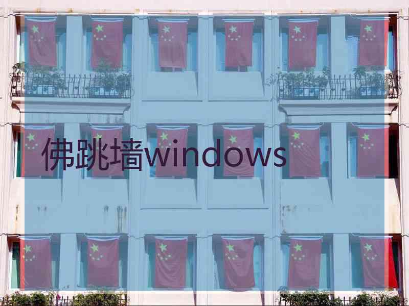 佛跳墙windows