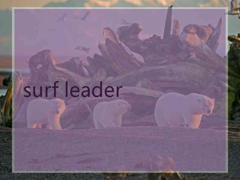 surf leader