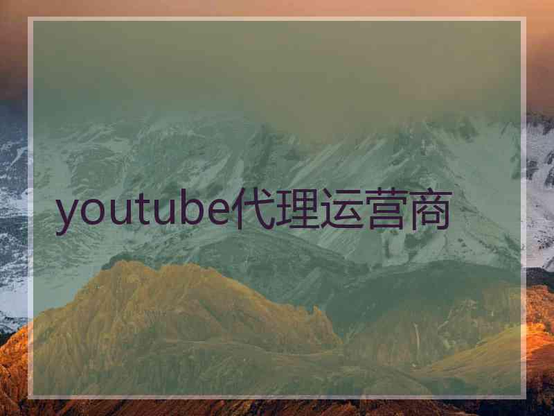 youtube代理运营商