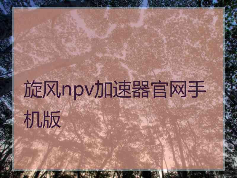 旋风npv加速器官网手机版