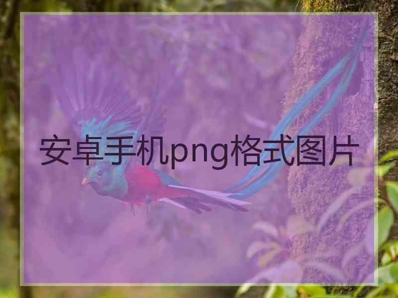 安卓手机png格式图片